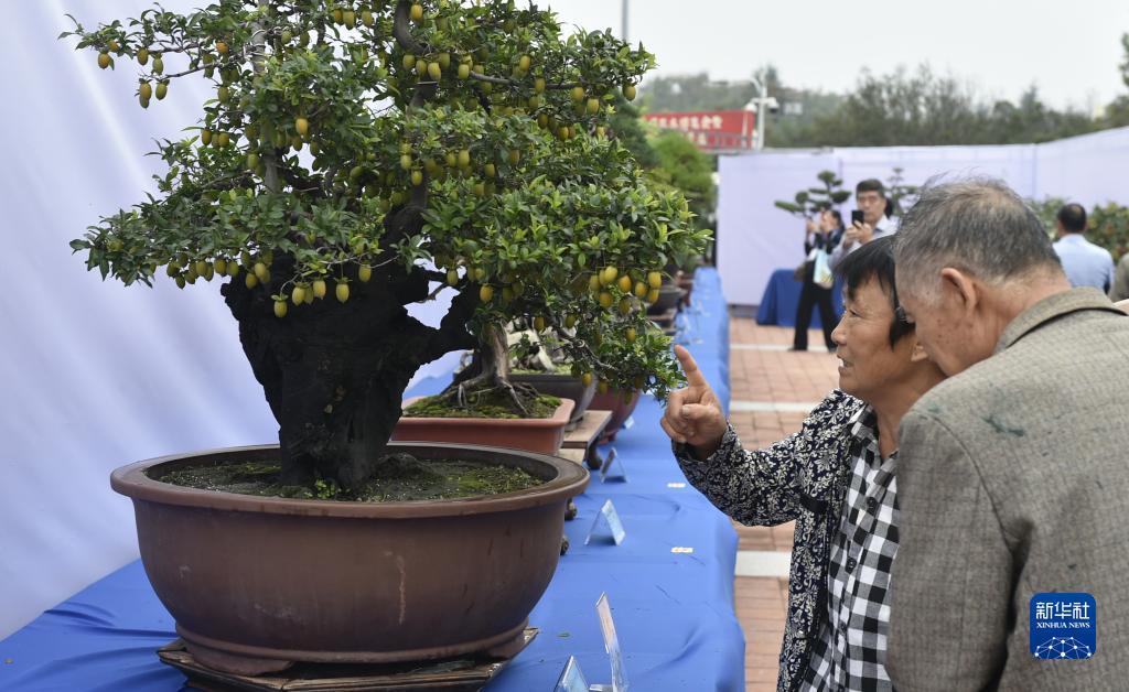 最新白菜平台